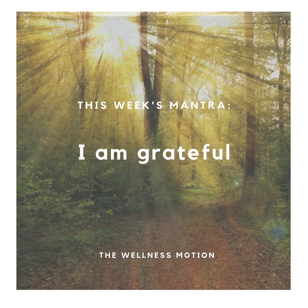 TWellnessMotion's tweet photo. This week's mantra: I am grateful ✨
.
.
#grateful #gratitude #wellness #mentalhealth #Mantra #affirmation https://t.co/4yB5h4QCSB