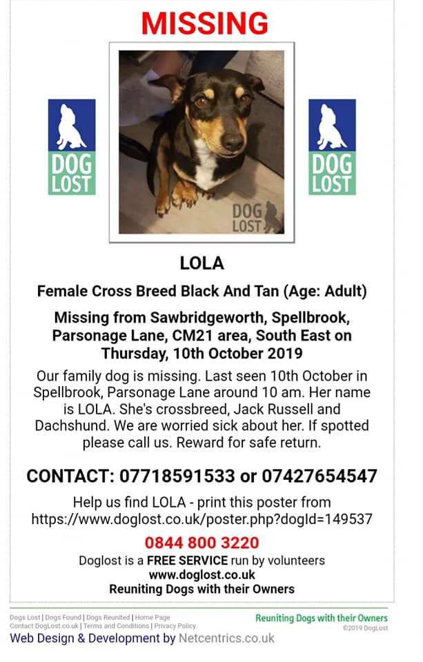The_Animal_Team's tweet photo. #Lola went #missing on 10/10/19 from #Sawbridgeworth #Spellbrook #CM21 area, #Herts. https://t.co/fealUKWPqW https://t.co/nsgqEnn4QX