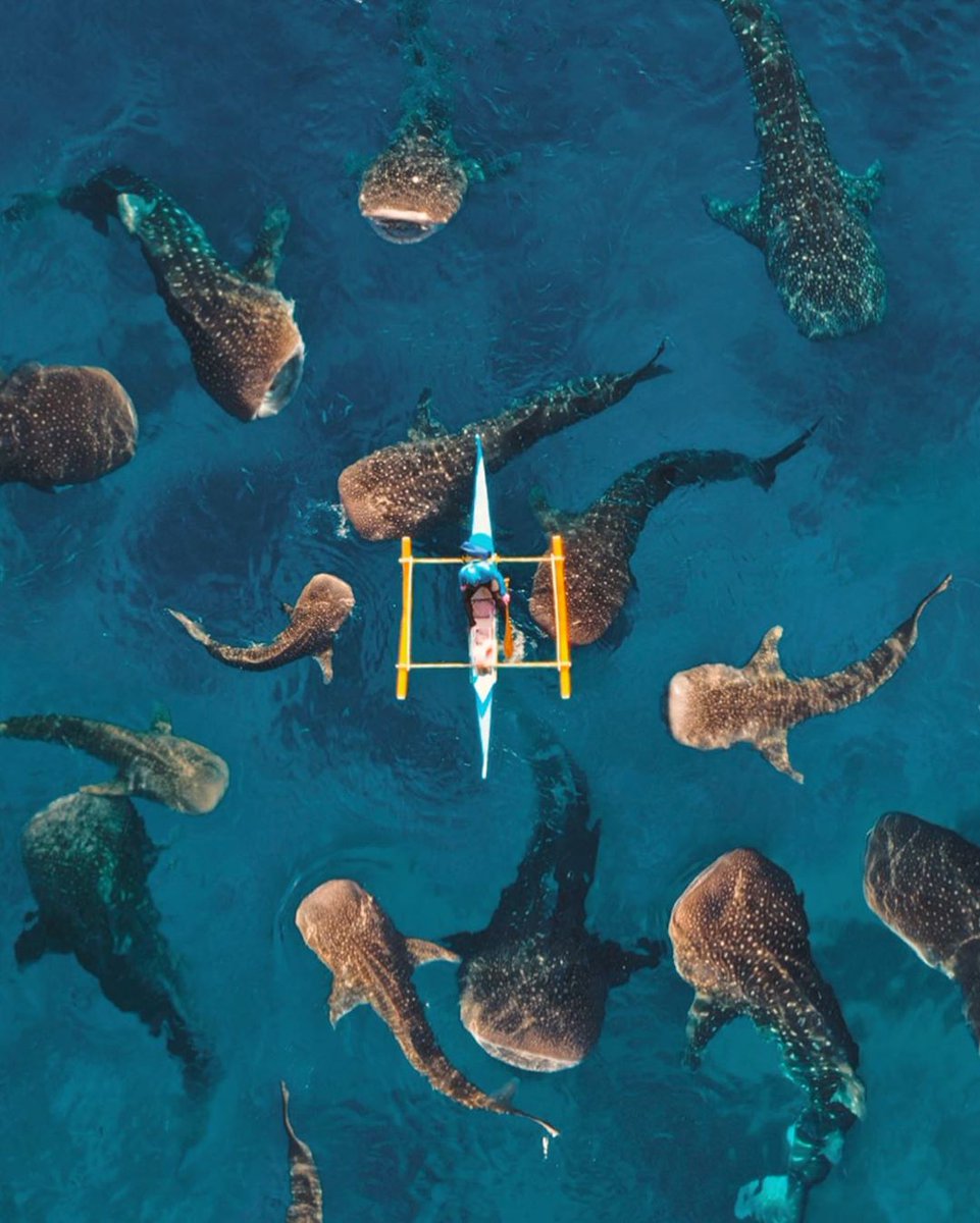 dronephoto10's tweet photo. Risk photo!
.
.
.
📷: spathumpa (instagram) https://t.co/hKgPeKHREA