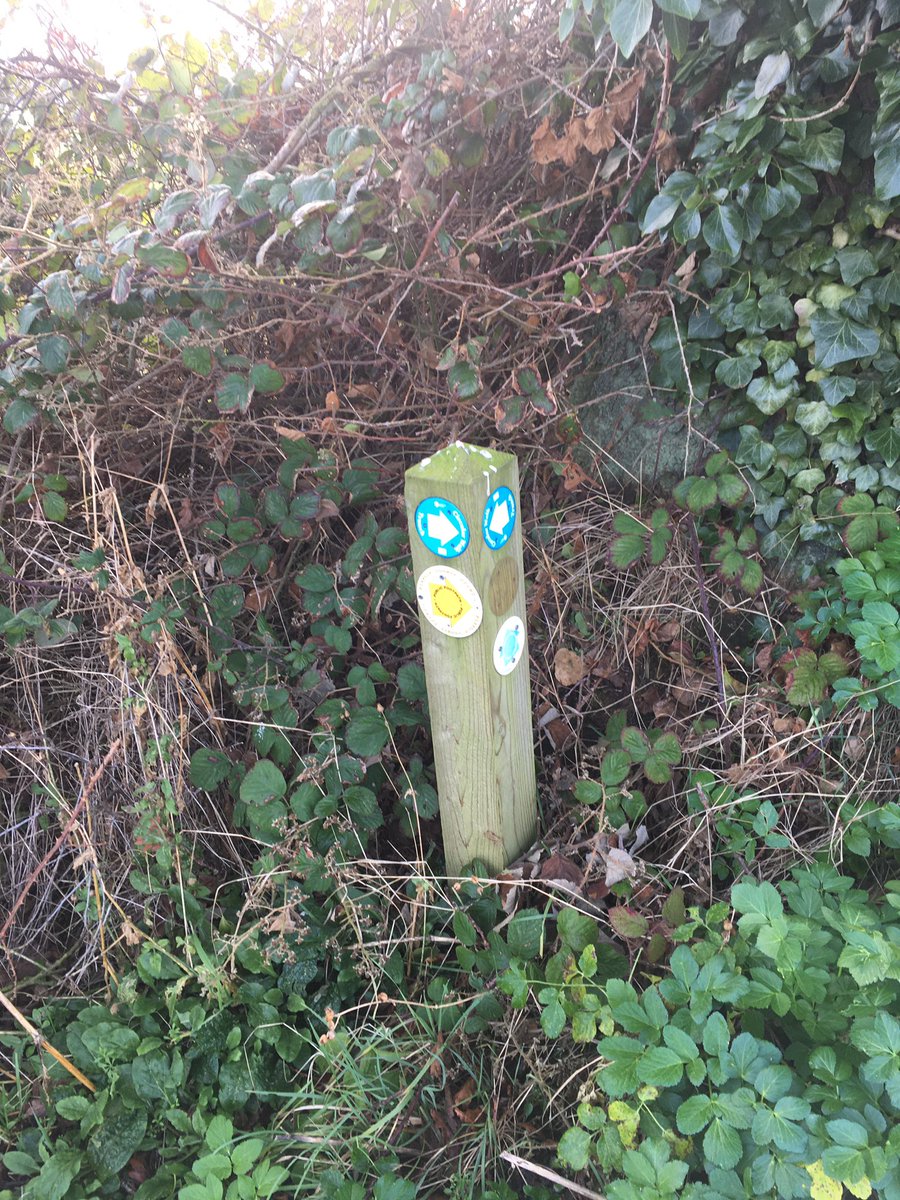 PridgeonB's tweet photo. Excellent way marking and great walking this weekend in and around #Trunch and #Mundesley with @siankalexander - and a train too ... https://t.co/COIC20BLt3