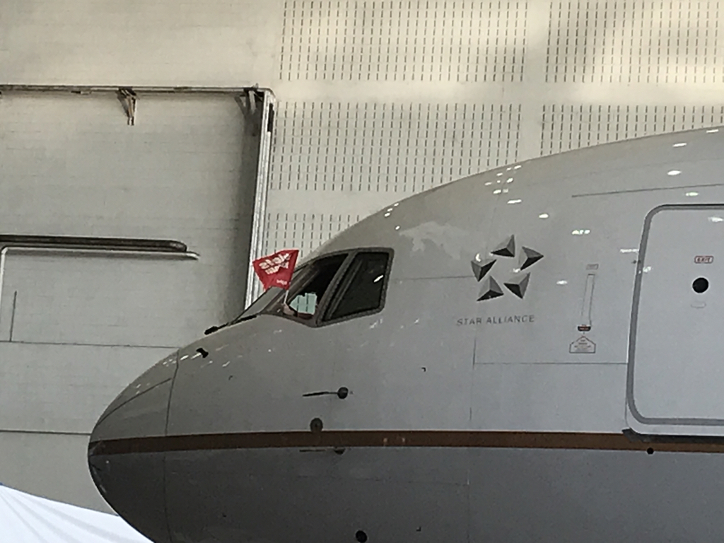 The pilot of Chiefs jet pulling into Miami International is flying a Chiefs flag