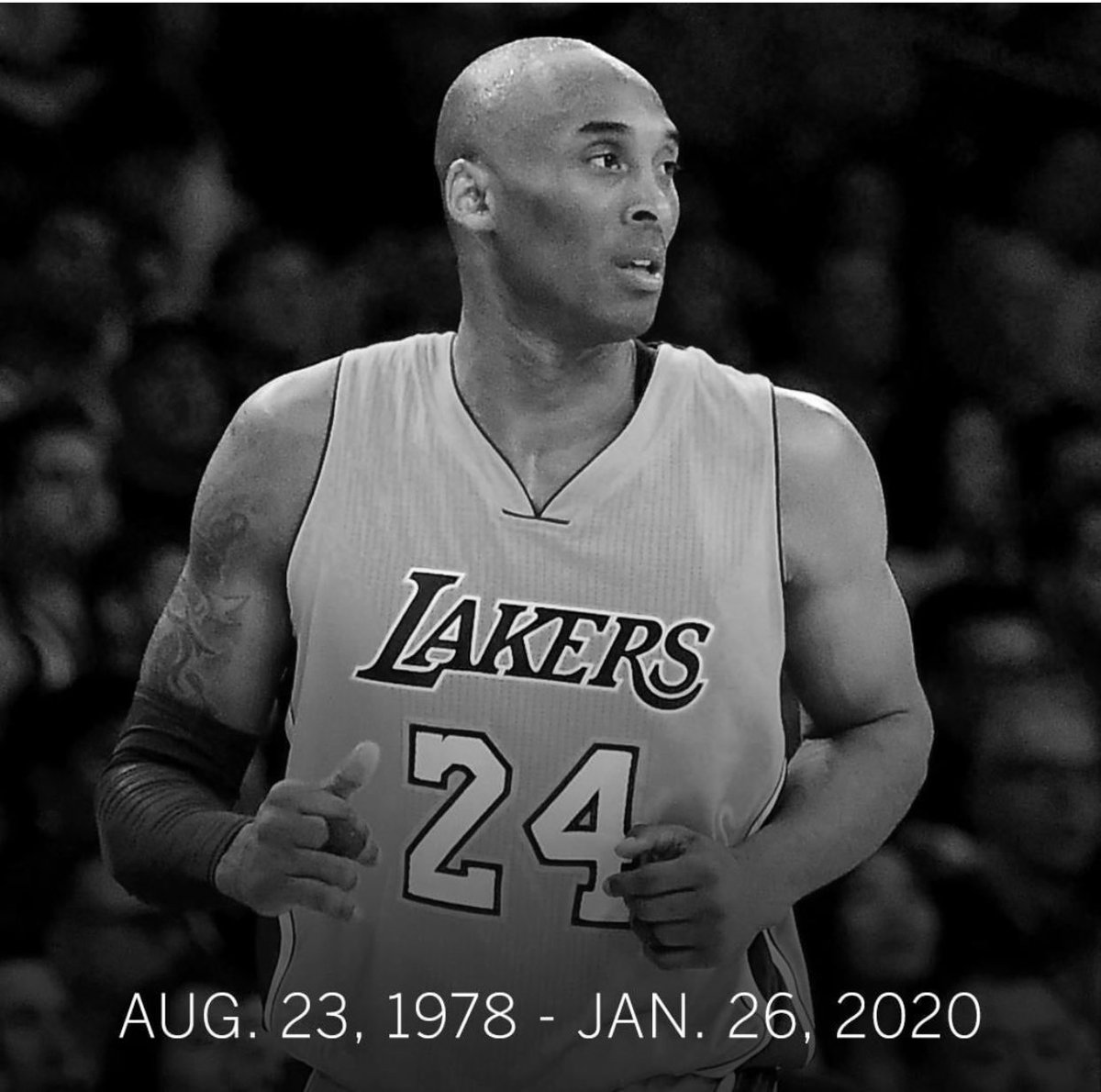 KrugerPri's tweet photo. Can’t believe it 😭😭😭 #KobeBryant #RIPMAMBA #BlackMamba #RIPKobeBryant #basketball https://t.co/fNeqamJlGD
