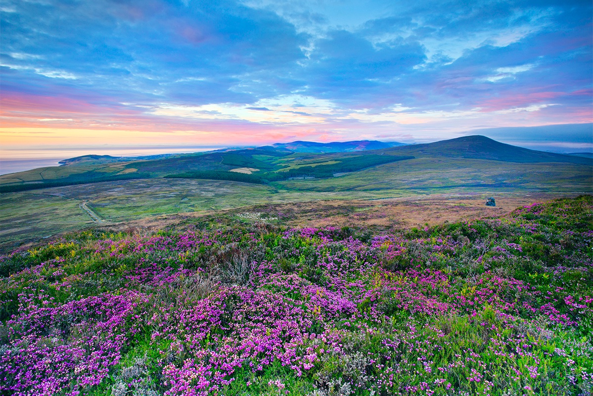 DGCagnati's tweet photo. L’#IledeMan se situe dans la mer d’Irlande, à mi chemin entre le nord de l’Angleterre et l’Irlande. Dotée de paysages spectaculaires et d’une nature incroyable, héritière d’une histoire et d’une culture extrêmement riche, des points d’intérêts #SvWorld https://t.co/N4eQrurc3R https://t.co/PWO9DmVhyu