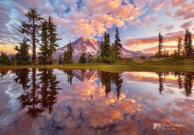 AnneScottlin's tweet photo. ❦We look to what is right and beautiful to comfort our hearts and strengthen our hands to spread healing and peace. ~Anne Scottlin
#Photo #ChipPhillips #healing #quote #peace #inspirationalquote #compassion https://t.co/AKWR6E3RVb