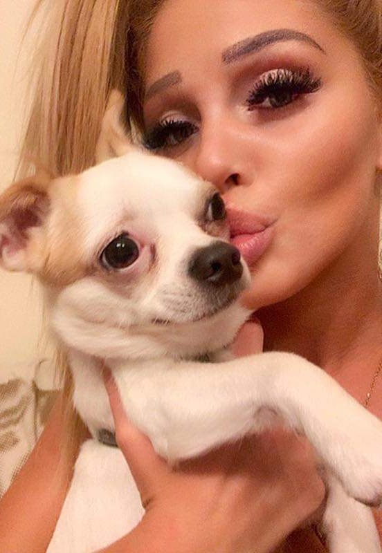 ElleIsBack_'s tweet photo. ❤🐕 https://t.co/gjL7NYJNIQ