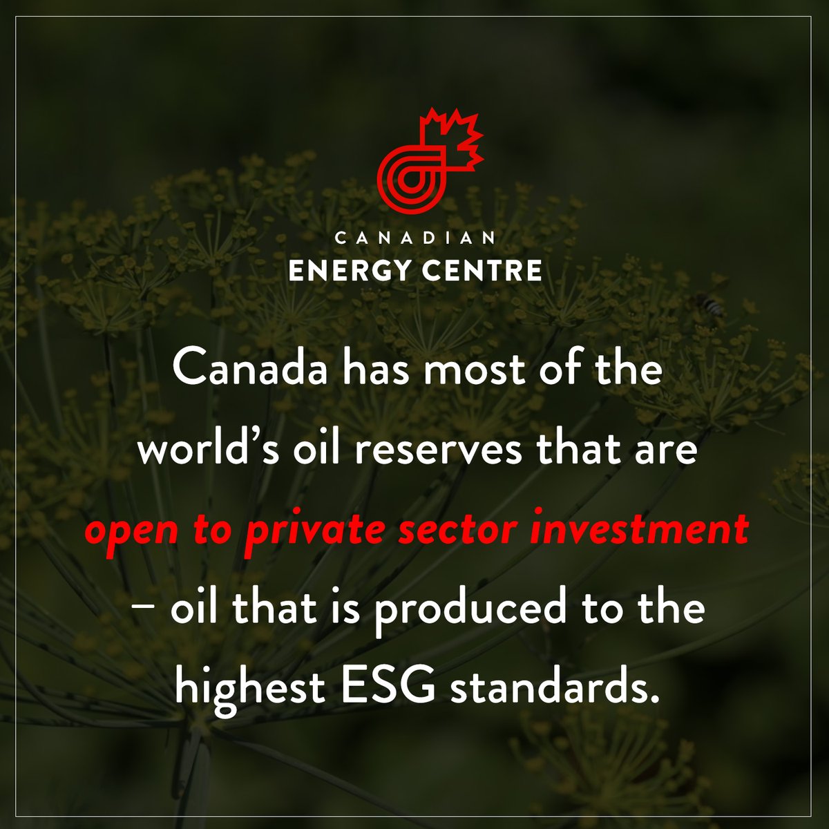 Canadian Energy Centre tweet media