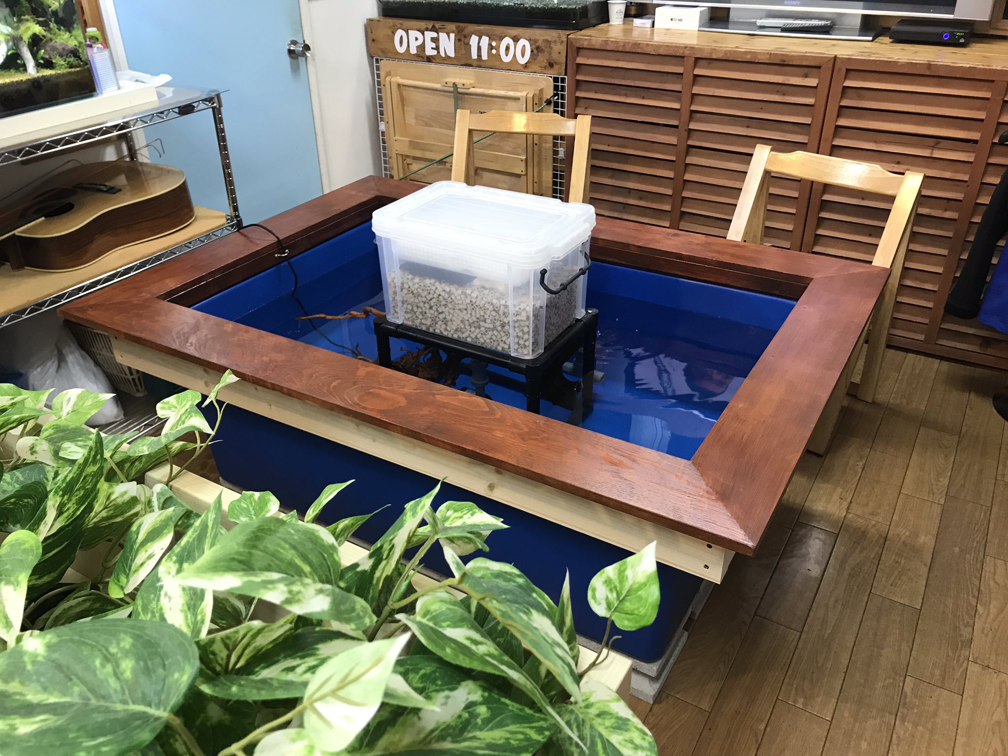 釣り堀しみちゃん Tsuribori Shimi Twitter