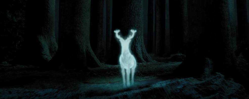 EiProfeta's tweet photo. No tengo pruebas pero tampoco dudas de que "Harry Potter y el prisionero de Azkaban" es la mejor película de la saga. https://t.co/caR19dXFkO