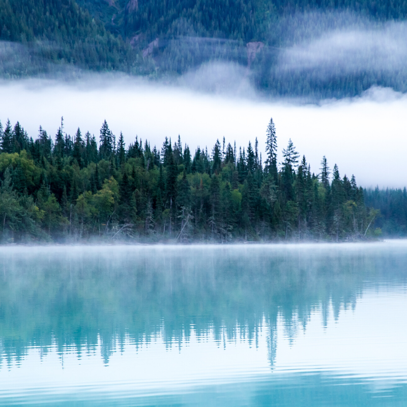 Enjoying the view? 

#marijuanalegalization #canada #bcbud #vancouverisland #westcoast #britishcolumbia #explorebc #sooke #sookebc #island #britishcolumbia #smoke #weed #blunt #instacannabis #cannabislove #cannabisclub #instaweedporn #thc