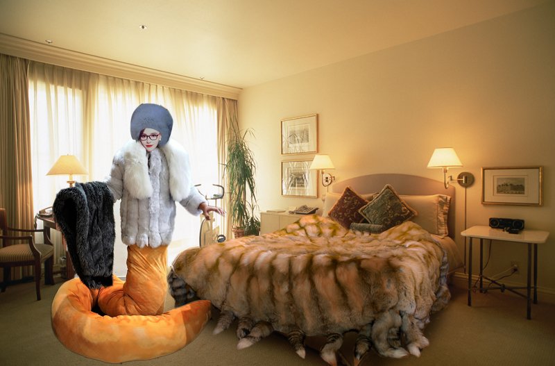 annesnakequeen's tweet photo. Ready to have sleep on this fur bed, don't you want to join me? ☺️☺️ https://t.co/C9r1NL128S