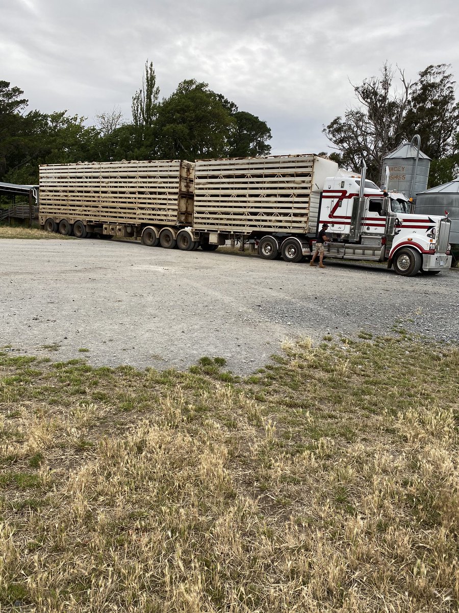 Robbie Tole tweet media