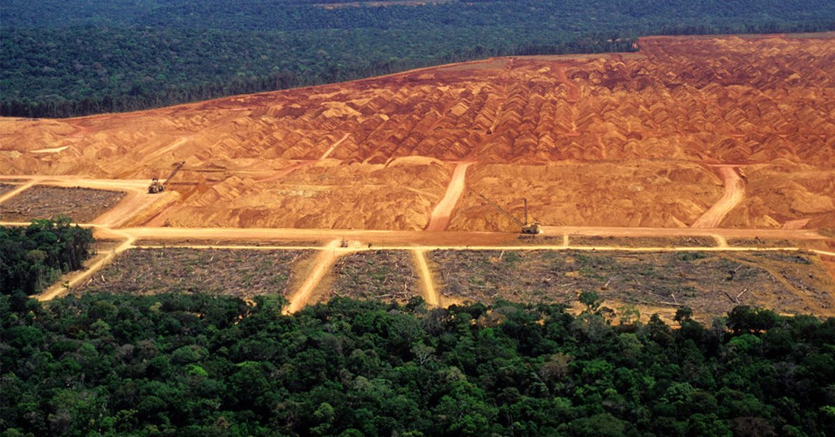 action_acd's tweet photo. Une des plus grandes causes de la désertification est la déforestation. Tu peux voir cela dans la région de l'Amazone, qui est en face d'une des plus grandes problèmes de la désertification dans le monde. https://t.co/gZItNG10pk