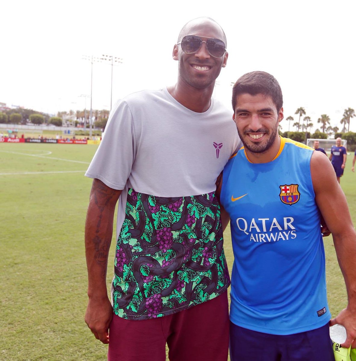 在 Twitter 上查看图片