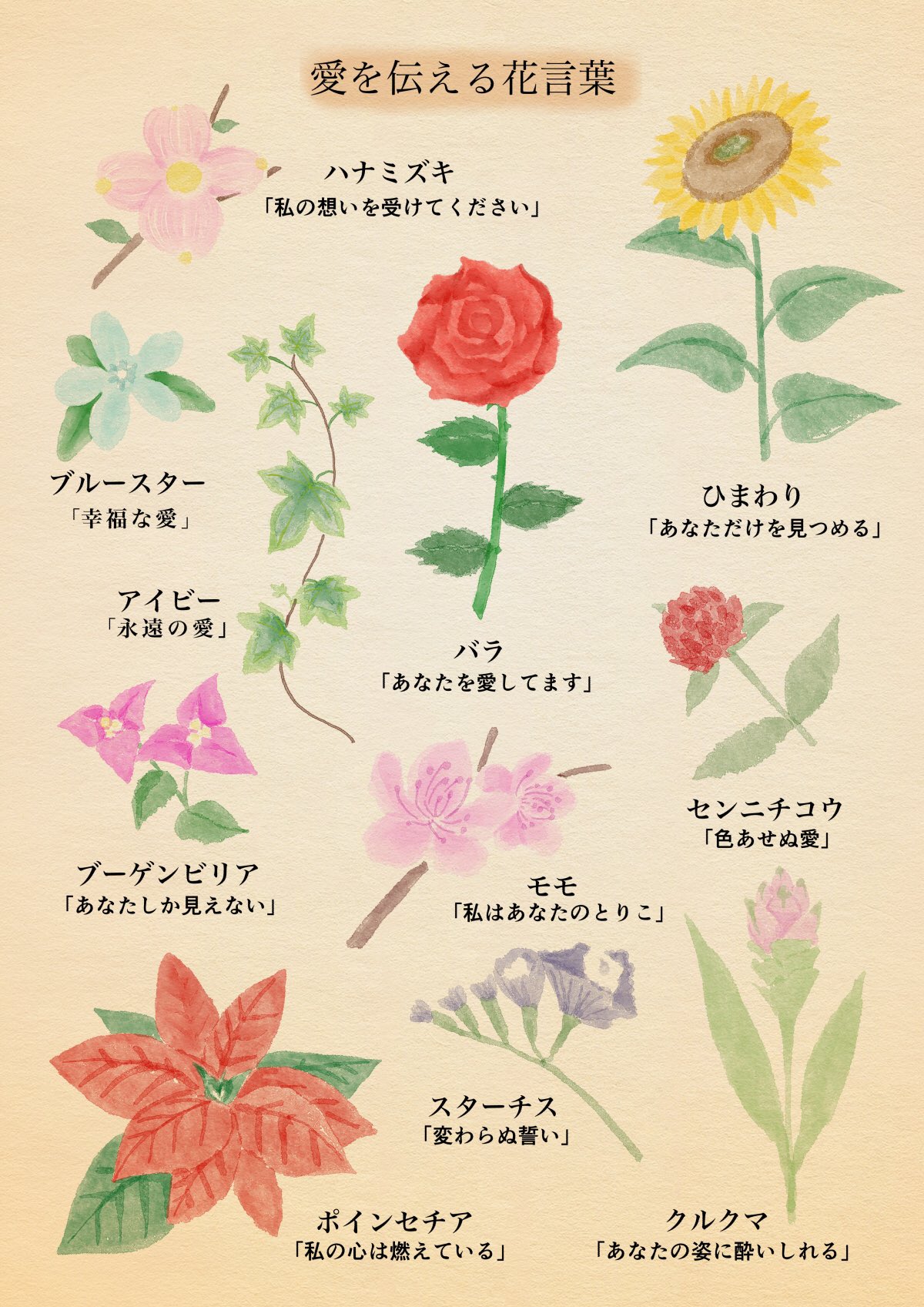 はな言葉 葉菜桜花子 愛を伝える花言葉の他にも素敵な花言葉をたくさん掲載している書籍です よろしくお願いします T Co Oua2n0lopx Twitter