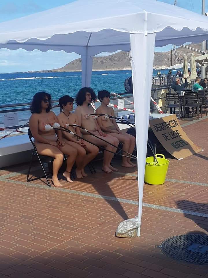 Rosa Maria Pantin tweet media