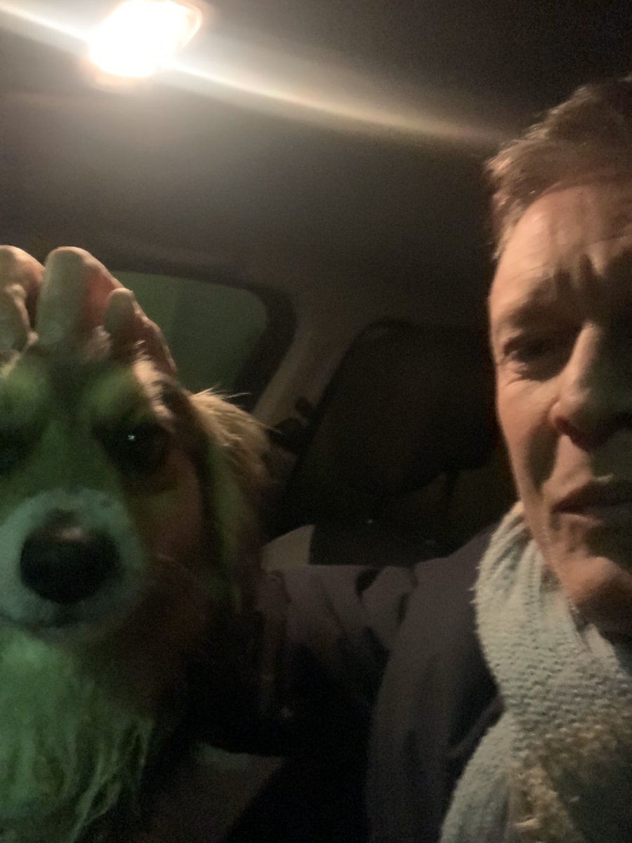 cris7117's tweet photo. L’ho visto bagnato e impaurito in mezzo alla strada.Non ho resistito.
4 frecce e dopo avermi ringhiato si è fidato di me 
Ne ho già 3 non so che fare ma non ce la faccio a far finta di niente 😞 https://t.co/SbArSfHG1h