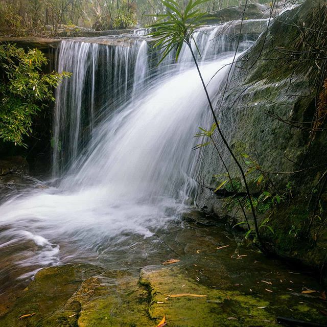 s_dibble's tweet image. Waterfall photoshoot, podcast in my bio link lostphotographers.com
-
-
-
#waterfalls 
#longexposure 
#instagood 
#visitnsw
#longexpohunter
#landscapephotography 
#longexposurephotography 
#longexpo 
#naturephoto 
#landscape_captures 
#earthpix 
#natu… ift.tt/36sajTJ