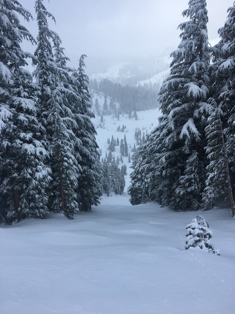 mkerrest's tweet photo. Fresh tracks @KirkwoodMTN #ThunderSaddle #LovePowder 😋😁😎 https://t.co/Hrlpd5XXbV