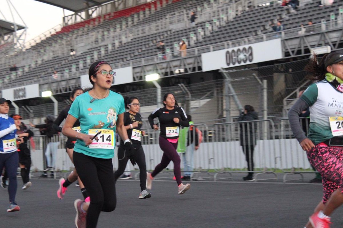 Zara Spíndola tweet media