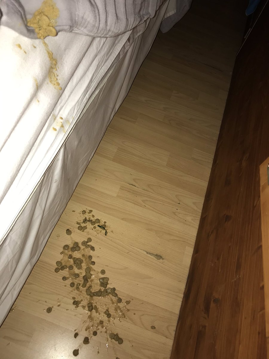 mrmokeycat's tweet photo. Mum says I’m free to a good home. Or maybe even a mediocre one 🙀😿 No idea what she’s upset about #bedtimebarf #vomitfromaheight #splatterpattern #callmeezerline https://t.co/VYazMsXB4X