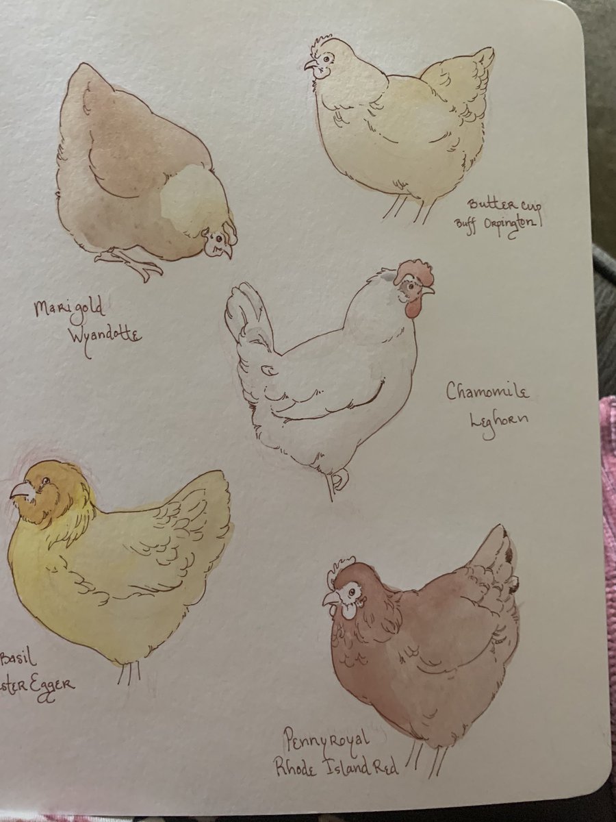 Painting chickens 