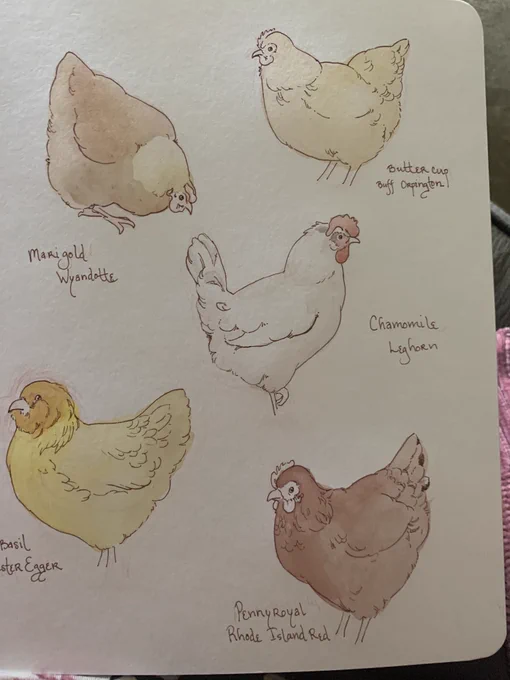 Painting chickens 