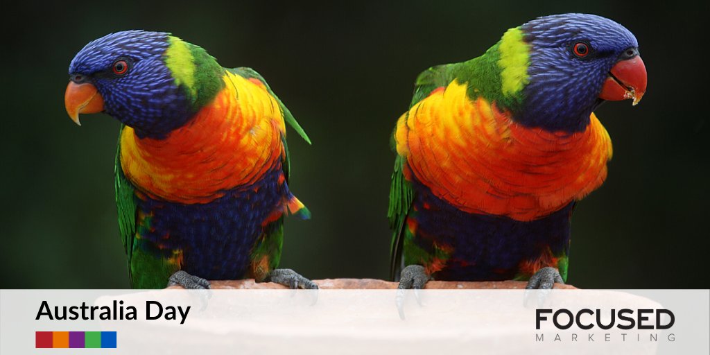 Focused_Mkt's tweet photo. We're closed for the Australia Day public holiday. Enjoy your day off! https://t.co/FEu3jlgNVG