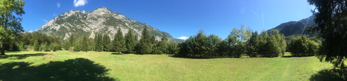 FilipPoscic's tweet photo. I want to share some photos with you from our last research field trip. We are monitoring several #Arabidopsis halleri populations with variation in exceedingly rare accumulation of #cadmium (Cd) in high amounts (#hyperaccumulation). 🌱🌱🌱🚙🚙🚙 https://t.co/GhRHpjHYDX