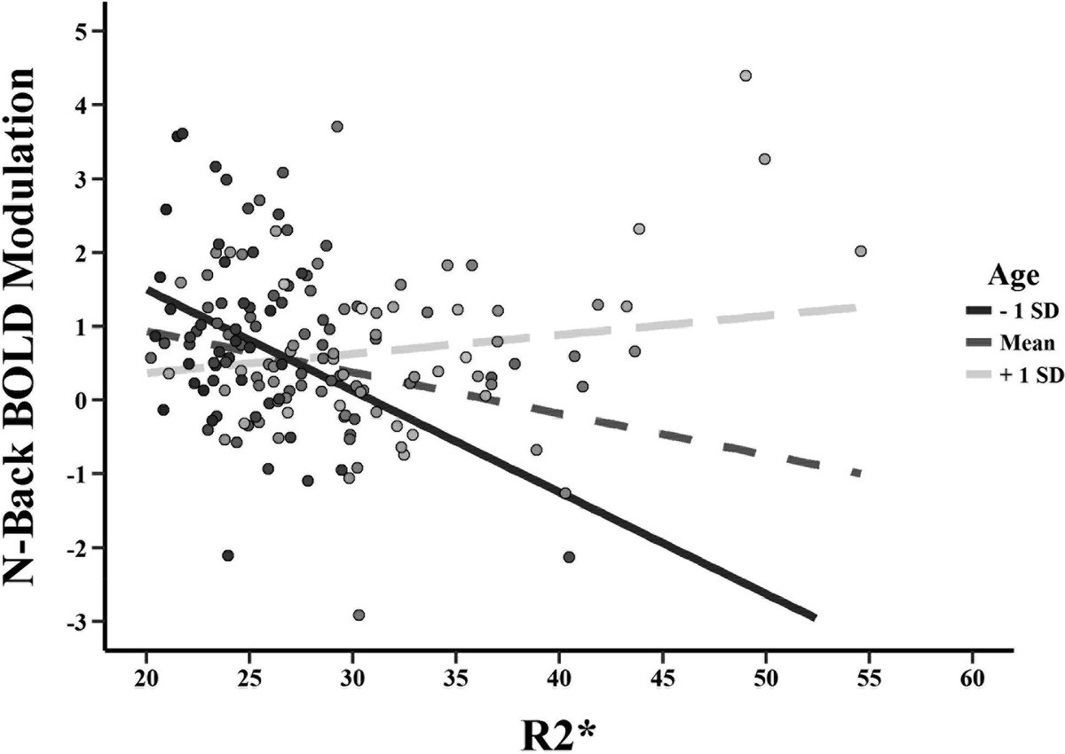 DrAnaDaugherty's tweet photo. Hot off the press!

Striatal iron content is linked to reduced fronto-striatal brain function under working memory load even in middle age. Adding evidence of iron as a biomarker of cognitive dysfunction.

https://t.co/ckU4cfz1je

@WSUPsychology @IOGWSU @CLASResearch @CVLneuro https://t.co/zPi7O1zMW4