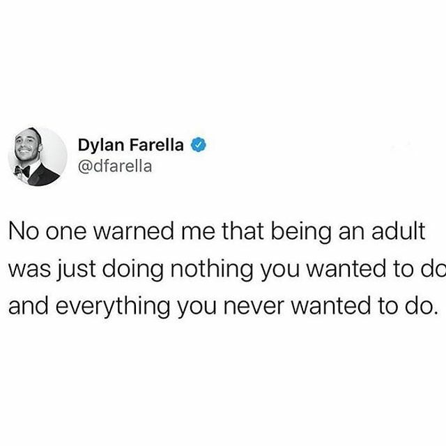 somerfield_beau's tweet photo. 🙃 @dfarella #hairhacks #beautytips #keepsmiling #beautiful https://t.co/aw1N2pEl43