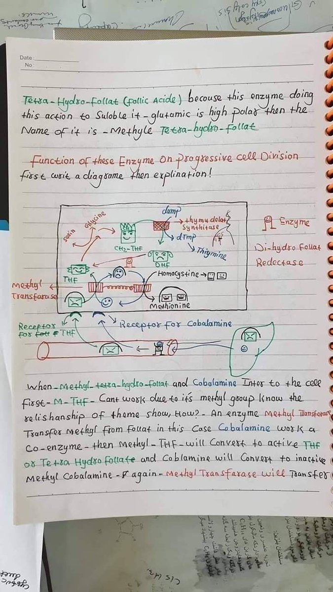 dr najeeb lectures notes free download dr najeeb lectures notes free download