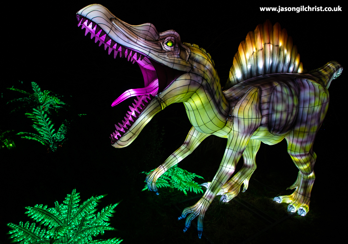 Spinosaurus. Scary. Yes, even as a giant Chinese lantern. #GiantLanterns #LostWorlds @EdinburghZoo. #Spinosaurus #dinosaur #dinosaurs #palaeoart #paleoart #ThePhotoHour #ChineseLantern #ChineseLanterns #EdinburghZoo #Edinburgh #Scotland #OutAndAboutScotland #ScotlandIsNow @TetZoo