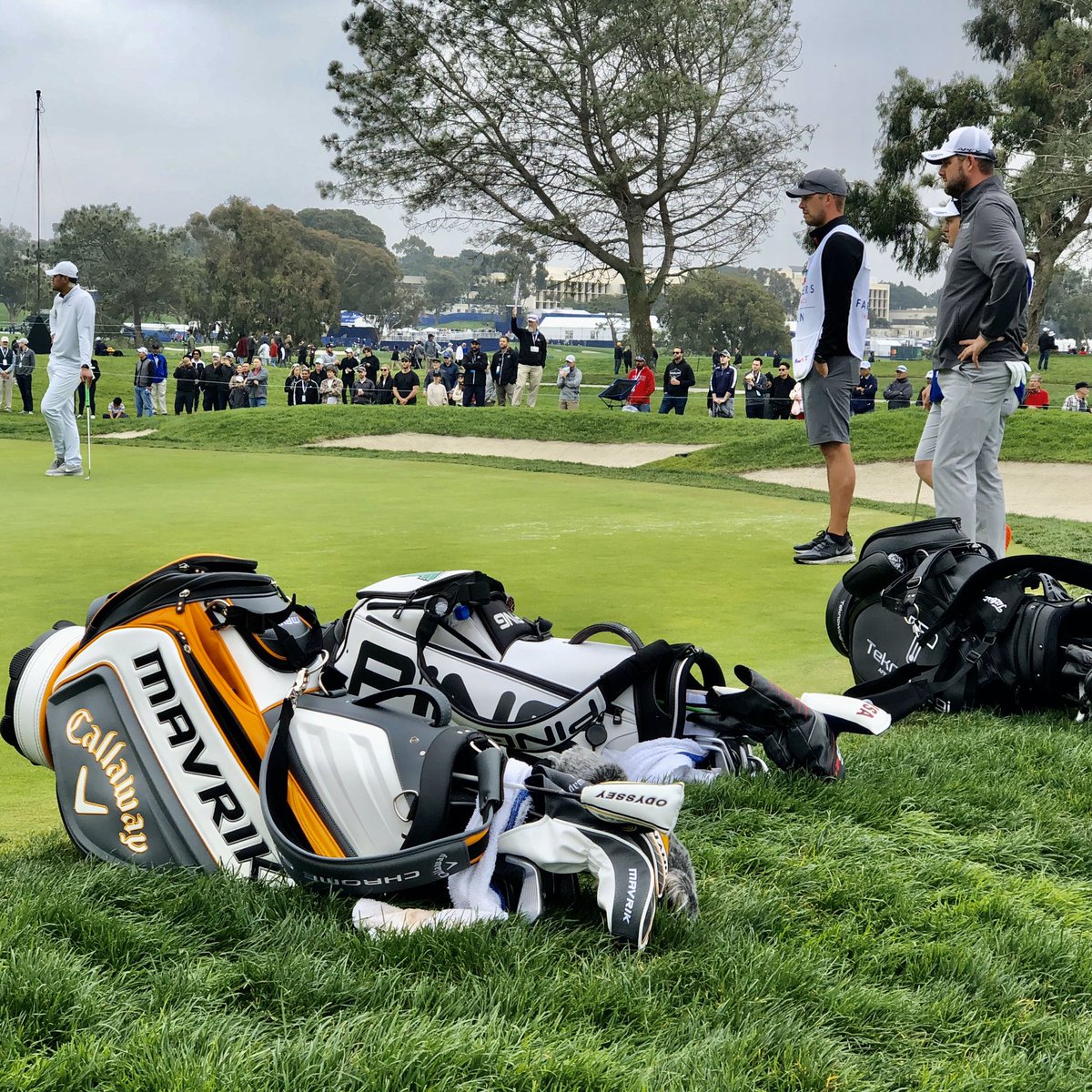 HeyPete33 tweet media