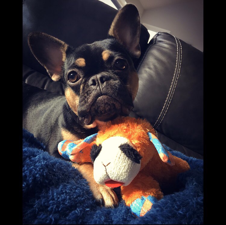 PinotandMerlot's tweet photo. I gots a new baby. https://t.co/Y1ZtjZoqhp