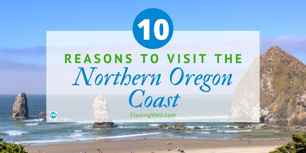 FluxingWell's tweet photo. Longing for a beach adventure? The northern Oregon coast has many amazing gems waiting to be discovered. Find out how to get to this incredible destination. https://t.co/IIBe2GBttS #familytravel #Oregonbeaches #fun #travelers #bloggersrt_ #blogmebuddy #LittleBlogRT @GingerBlogsRT https://t.co/cnHD8uhZ9K