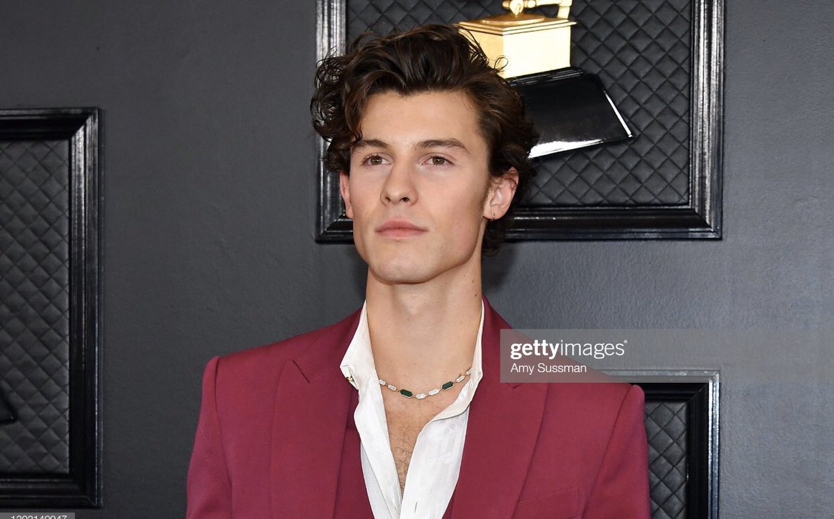 POP OFF KING! - <a href="/ShawnMendes/">Shawn Mendes</a> at the #GRAMMYs #GRAMMYs2020 red carpet!🏹☁️

© Photos by: Amy Sussman - Getty Images📸