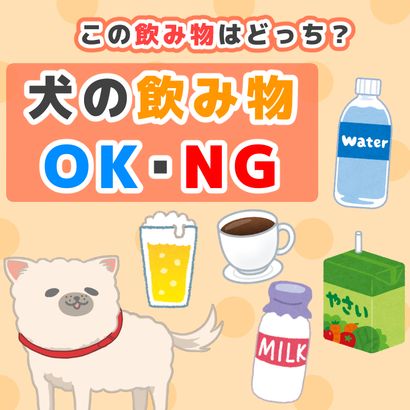 ドッグトレーナー ゆき 初書籍 絶賛発売中です 犬に飲ませて 良い 悪い 飲み物をチェックしましょう ミネラルウォーター 軟水は 硬水はミネラルが多すぎるので 炭酸水 氷水 与え過ぎに注意 緑茶 紅茶 ウーロン茶