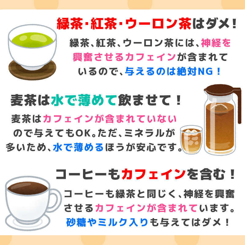 ドッグトレーナー ゆき 初書籍 絶賛発売中です 犬に飲ませて 良い 悪い 飲み物をチェックしましょう ミネラルウォーター 軟水は 硬水はミネラルが多すぎるので 炭酸水 氷水 与え過ぎに注意 緑茶 紅茶 ウーロン茶