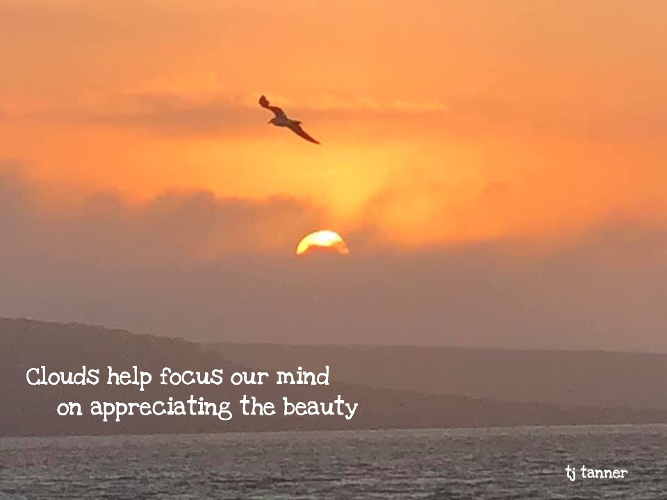 trudyjtanner's tweet photo. Life’s challenges present an opportunity to wake us up. Learning to focus on the message in the challenge is where the magic lies. Being grateful to the challenge as we unwrap its message and its meaning can be both life changing and empowering - be still &amp; listen #mondaythoughts https://t.co/nDq8CaiiEO