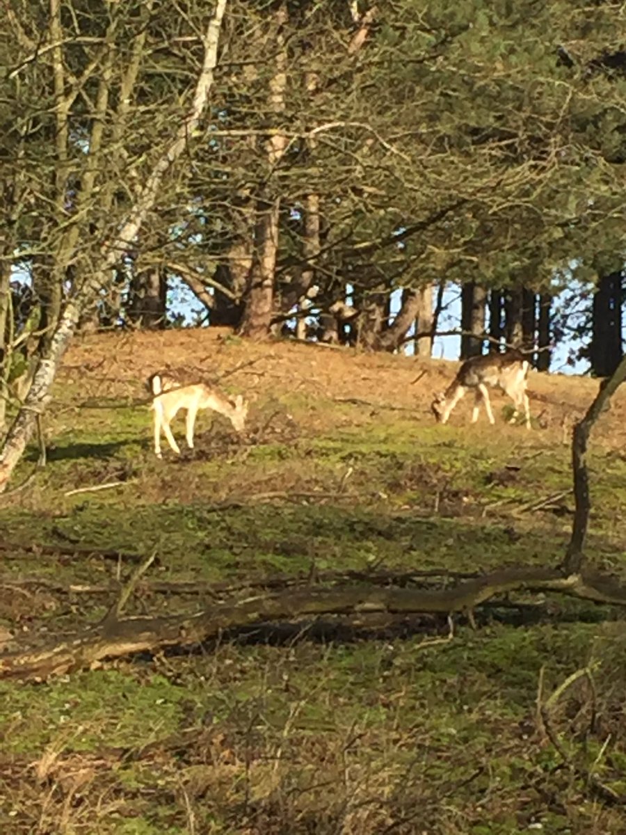 Wampie1977's tweet photo. Sinds 2018 ben ik Waterbalie-ambassadeur. Dat betekend dat je het water drinken stimuleert onder jong en oud. Op 16 januari j.l. zijn een paar ambassadeurs naar de Waterduinen in Vogelenzang geweest. Daar hebben we veel geleerd over de waterzuivering voor Amsterdam. Het was leuk! https://t.co/8ve8YZ7lBL