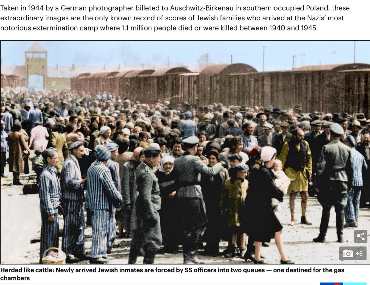 polenz_r's tweet photo. Heute ist Holocaust-Gedenktag. Wir erinnern uns auch an die junge Mutter mit ihrem Baby im Vordergrund.

https://t.co/bo07NPDeCH https://t.co/uF1NgWfefp