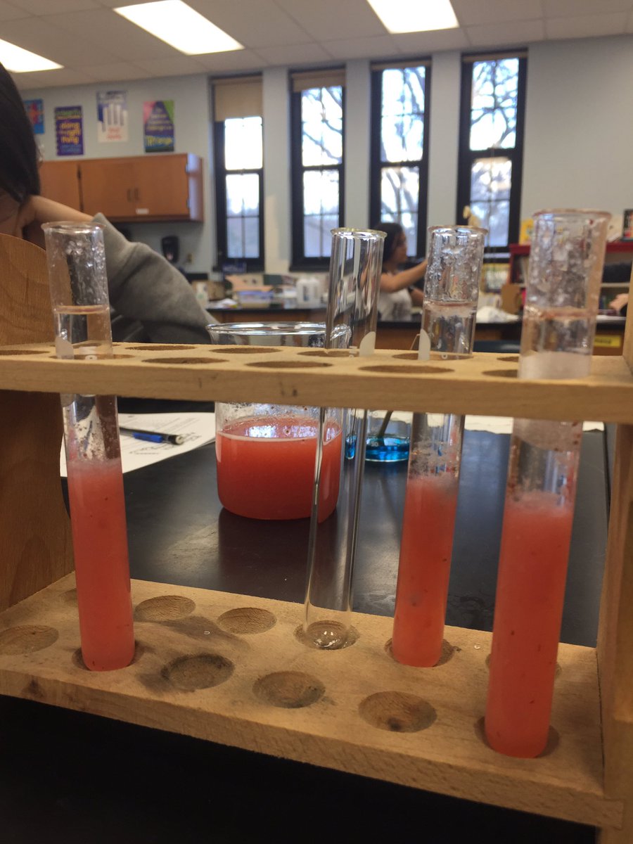 HillaryRubenst1's tweet photo. DNA Extraction kicked off a new unit for Ms Rubenstein and Ms Kalenak’s 8th grade science classes. #woscience @RMS_Pride @woschools https://t.co/c1s79Yvzqj