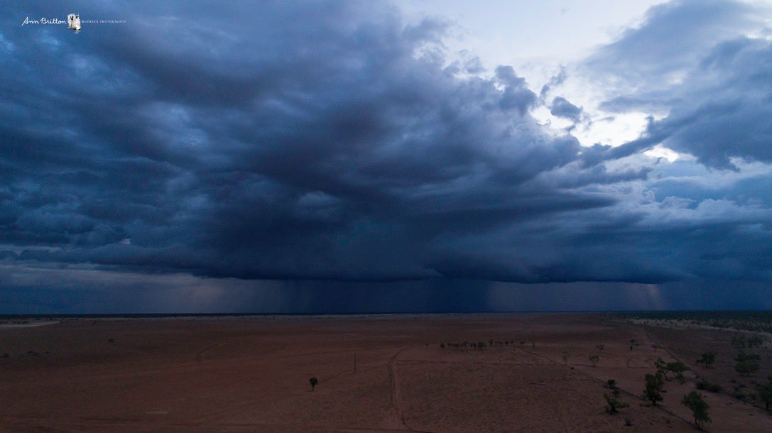 PhotoAnnBritton's tweet image. Really pushing the boundaries with Dame Drones limitations with this one
7.43pm last night cloud in the south that we received 50mm from and Mudgeacca received 49mm from.

#Goodwood #DameDrone #StormCloud #rain #OutbackQueensland #blessed