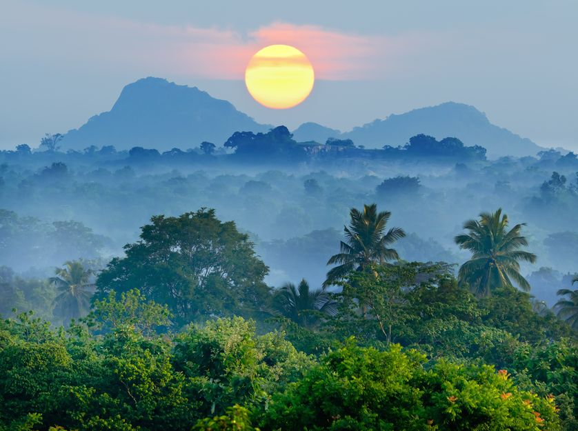CarolineNagy5's tweet photo. "About 70% of known plants with cancer-fighting properties exist only in rain forests."
If we push other species to extinction before we even know that they exist, how will we ever be able to research them and tap into their full medicinal potential? #biodiversityvalue #ees028 https://t.co/Z9a5q5A51G