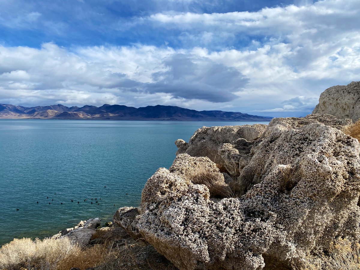 IBKinTN's tweet photo. Visited #PyramidLake today. Every time I visit I am astonished by the beauty & feel a deep appreciation of the natural & human history of this place. Hope to come back to fish this year @plpt @HomeMeans_NV #DesertFish https://t.co/i24E0rgECb