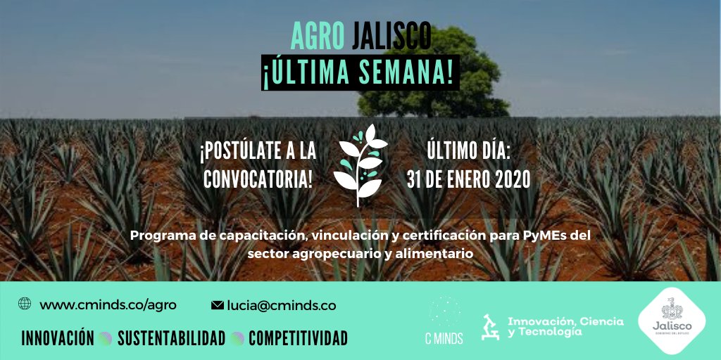 brainhubmx's tweet photo. RT InnovaJal: ¡Última semana para participar en la convocatoria Agro Jalisco! No pierdas esta oportunidad de recibir capacitación, certificación y vinculación para tu PyME del sector agropecuario. Consulta los detalles y regístrate en: … https://t.co/DwfOLxKYEb