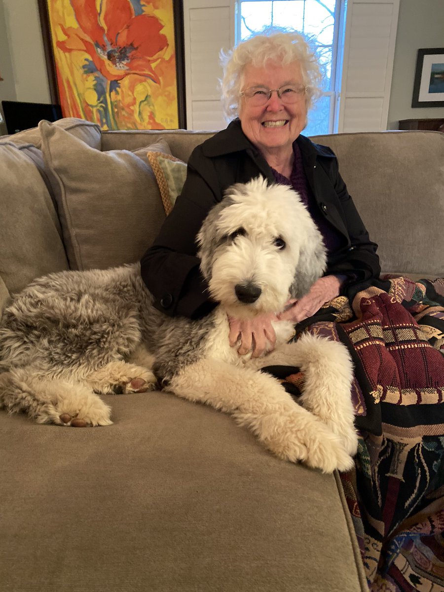 FalterForJudge's tweet photo. Mom is in town! Let the spoiling begin. 🐶 ❤️ 😊 https://t.co/8CxXQ9Tdby