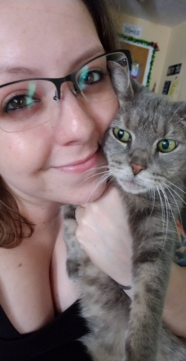 jen_roar's tweet photo. Just ordered senior cat food. Gotta fatten my girl back up. #oldkitty https://t.co/nLgZ5ityq7