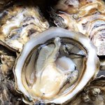 Photo by Local 360 (@Local360Seattle)