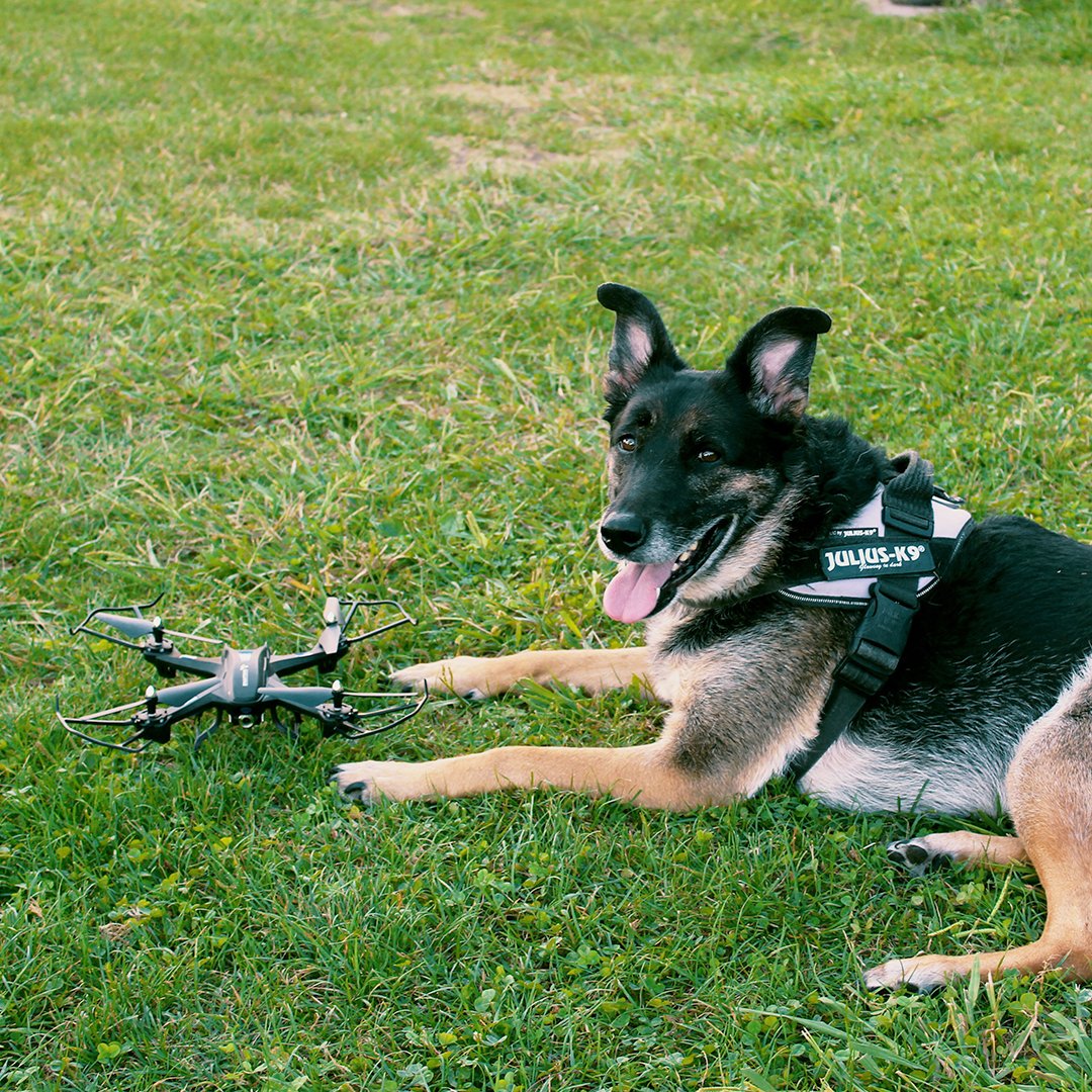 snaptain's tweet photo. Can you imagine what a great day we had?😍

Shot by @snaptain Fans
For more product info. Click here: https://t.co/3wioYbOYLG

#petlover #toys #snaptaindrone #snaptains5c https://t.co/4IgmiByeeW